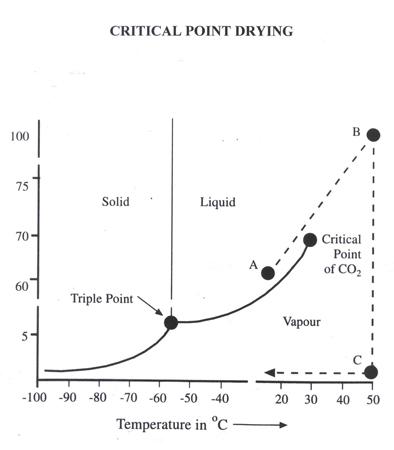 Critical point drying phase diagram - see critical point drying technical brief (PDF) in Preparation Techniques and Advantages section for full details